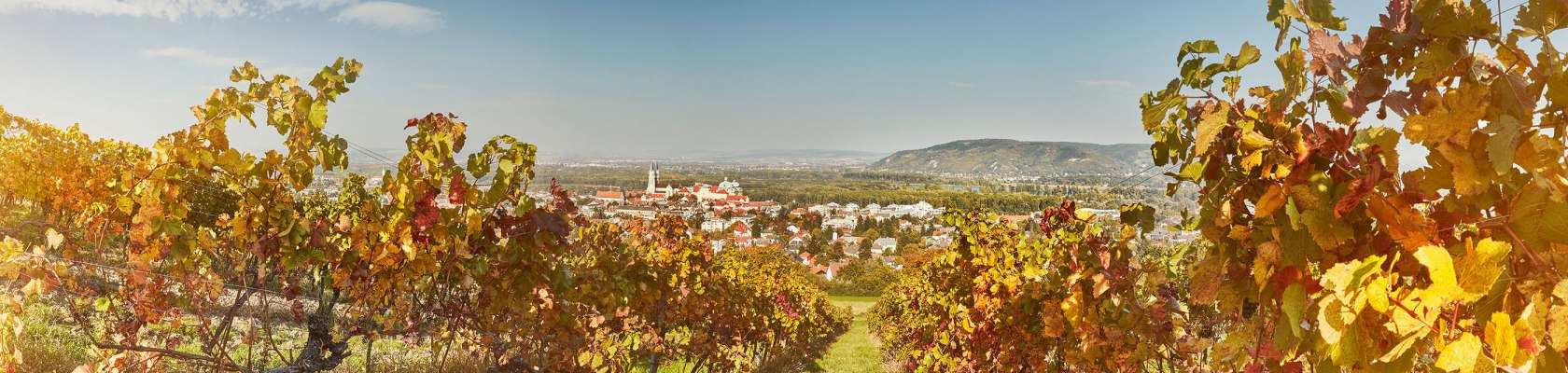Weinherbst Klosterneuburg Wienerwald, © Niederösterreich Werbung / Michael Liebert Weinherbst Klosterneuburg Wienerwald, © Niederösterreich Werbung / Michael Liebert
