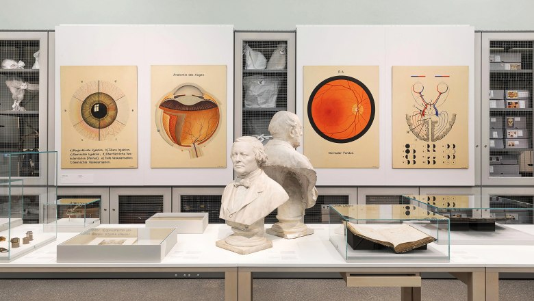 Josephinum – Medizinhistorisches Museum Wien, © Josephinum/Bene Croy Ausstellung im Josephinum mit medizinischen Postern und Büsten.