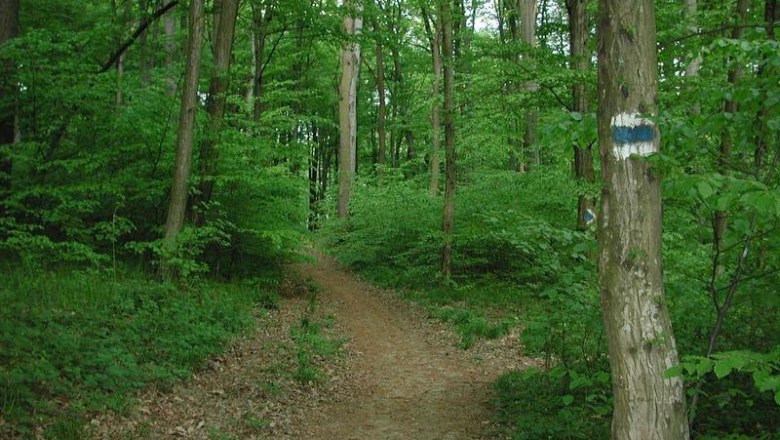 Hotel Rosner, © Hotel Rosner Hotel Rosner, © Hotel Rosner