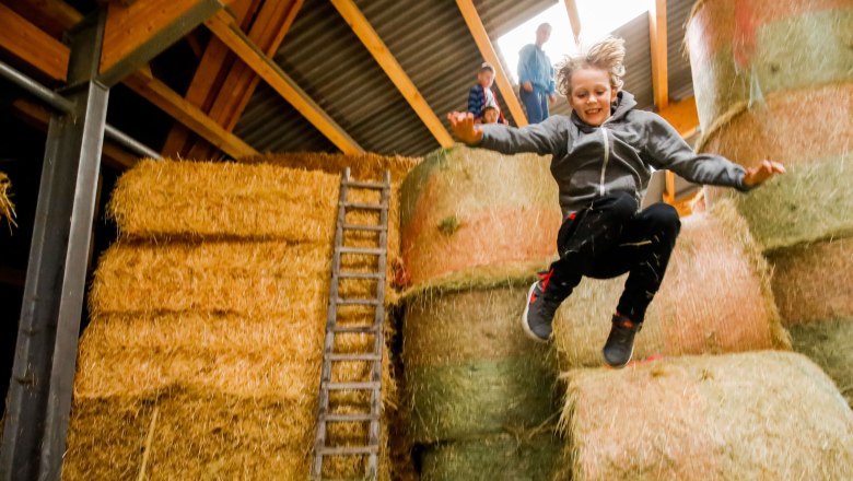 Altenmarkt - Heuhupfen am Bauernhof Steiner, © Wienerwald Tourismus/Christian Husar Altenmarkt - Heuhupfen am Bauernhof Steiner, © Wienerwald Tourismus/Christian Husar