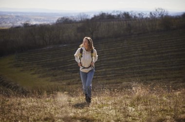 Bewegung entlang der Weinberge, © Niederösterreich Werbung/ Stefan Mayerhofer Bewegung entlang der Weinberge, © Niederösterreich Werbung/ Stefan Mayerhofer