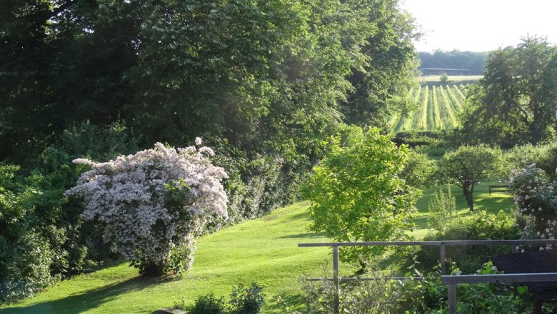 Our garden, © I.R. Our garden, © I.R.