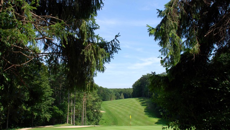 Golf Club Enzesfeld, © Golf Club Enzesfeld Golfplatz mit grünem Fairway und Fahne, umgeben von Bäumen.
