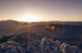 Triestingtal, © Niederösterreich-Werbung/ Andreas Hofer Triestingtal, © Niederösterreich-Werbung/ Andreas Hofer