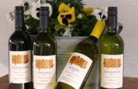 Weinflaschen, © www.hoesl.com Vier Weinflaschen vor einem Blumenkübel mit Stiefmütterchen.