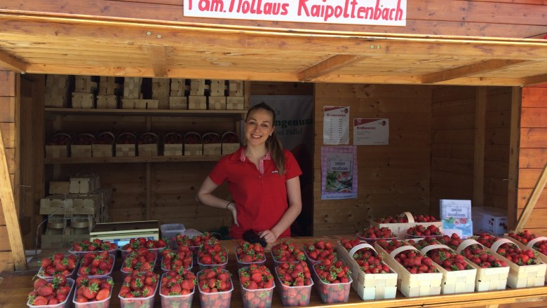 Erdbeeren, © Hollaus Erdbeeren, © Hollaus