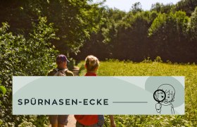 Spürnasenrunden Baden, © Wienerwald Tourismus GmbH / Tourismus der Stadtgemeinde Baden Spürnasenrunden Baden, © Wienerwald Tourismus GmbH / Tourismus der Stadtgemeinde Baden