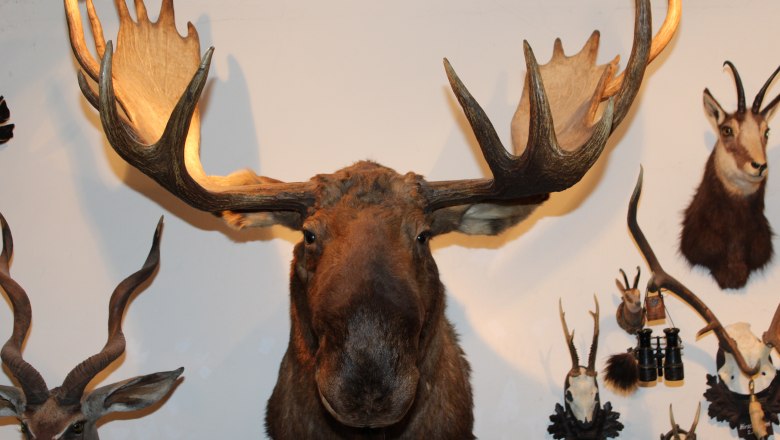 Triestingtaler Heimat- und Regionalmuseum, © Triestingtaler Heimat und Regionalmuseum / Herr Heiml Triestingtaler Heimat- und Regionalmuseum, © Triestingtaler Heimat und Regionalmuseum / Herr Heiml