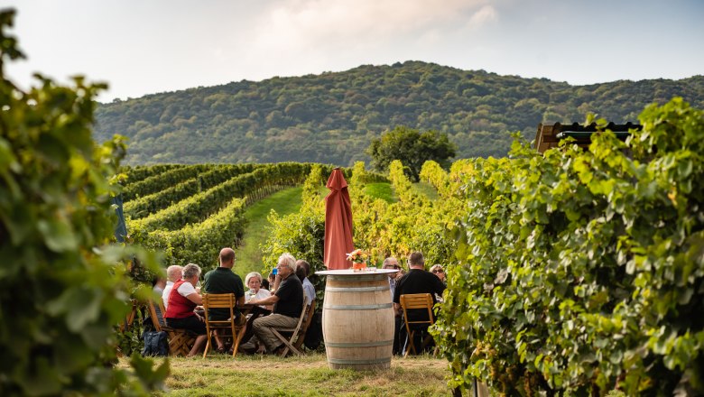 Genussmeile, © Wienerwald Tourismus/Christian Dusek Genussmeile, © Wienerwald Tourismus/Christian Dusek