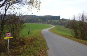Richtung Stadlmann, © Wienerwald Richtung Stadlmann, © Wienerwald