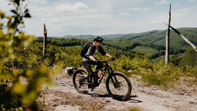 Mountainbiken im Wienerwald, © Österreich Werbung/Charly Schwarz Mountainbiken im Wienerwald, © Österreich Werbung/Charly Schwarz