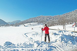 Loipe Hafnerberg-Peilstein, © Loipe Hafnerberg Langläufer auf einer verschneiten Loipe in einer winterlichen Landschaft.