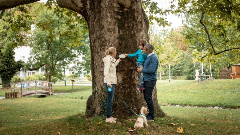 Schlosspark Bad Vöslau, © Silke Ebster Schlosspark Bad Vöslau, © Silke Ebster