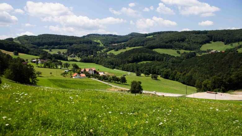 Wald und Wiese im Gutental, © Waldhof Grasel Wald und Wiese im Gutental, © Waldhof Grasel