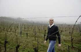 Weingut Johannes Gebeshuber, © Weingut Johannes Gebeshuber Weingut Johannes Gebeshuber, © Weingut Johannes Gebeshuber