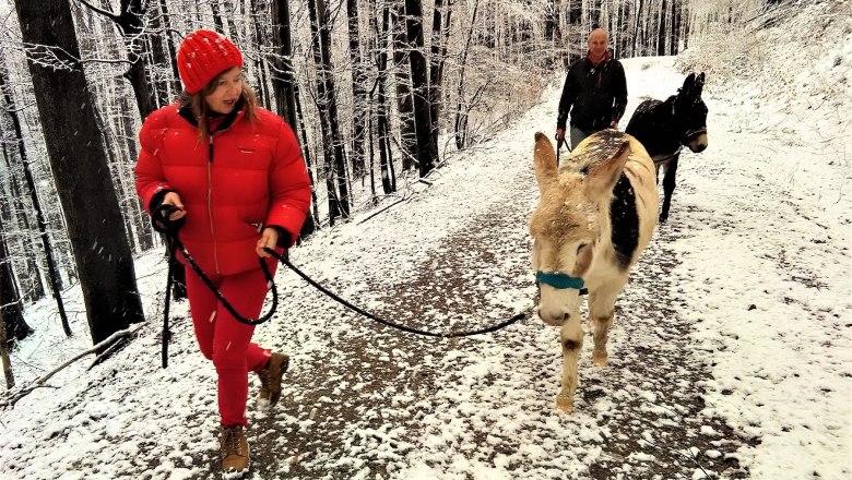 Schneewanderung, © (Copyright Christine Plocek) Schneewanderung, © (Copyright Christine Plocek)