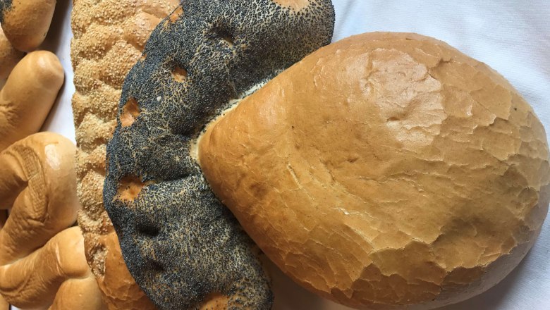 noch was..., © Karin Tentschert Wienerwald noch was..., © Karin Tentschert Wienerwald