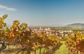 Weinherbst Klosterneuburg Wienerwald, © Niederösterreich Werbung / Michael Liebert Weinherbst Klosterneuburg Wienerwald, © Niederösterreich Werbung / Michael Liebert
