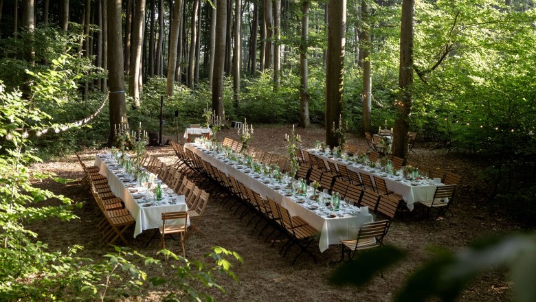 WienerWaldDinner, © Studio Kerschbaum WienerWaldDinner, © Studio Kerschbaum