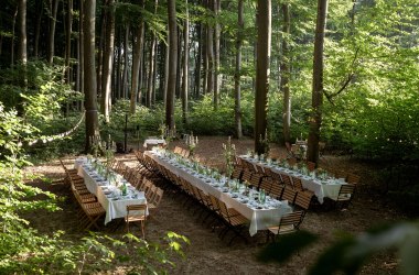 WienerWaldDinner, © Studio Kerschbaum WienerWaldDinner, © Studio Kerschbaum