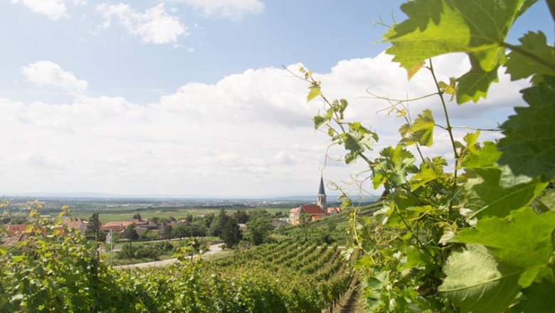 What a view!, © Hannes Hofer What a view!, © Hannes Hofer