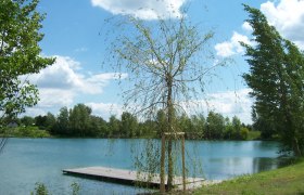 Badeteich Laxenburg, © Gemeinde Laxenburg Ein kleiner Steg an einem See mit Bäumen und blauem Himmel im Hintergrund.