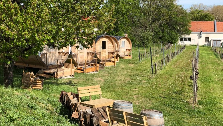 Mitten im Weingarten, © Peter Rohm Mitten im Weingarten, © Peter Rohm