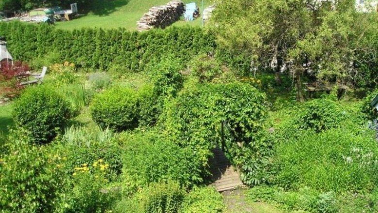 Wienerwaldoase, © Wienerwaldoase Wienerwaldoase, © Wienerwaldoase