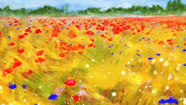 kornfeld, © Gerald Frey 2022 kornfeld, © Gerald Frey 2022