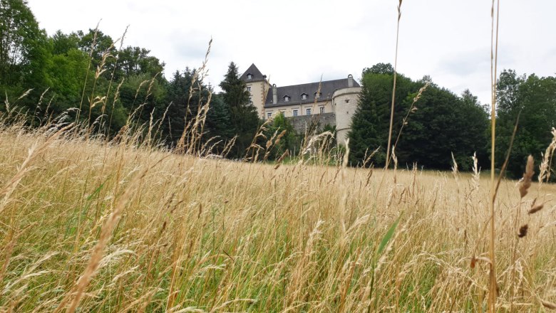 Neuhaus Castle, © burg-neuhaus_kathrin-huemer_wienerwald-tourismus Neuhaus Castle, © burg-neuhaus_kathrin-huemer_wienerwald-tourismus