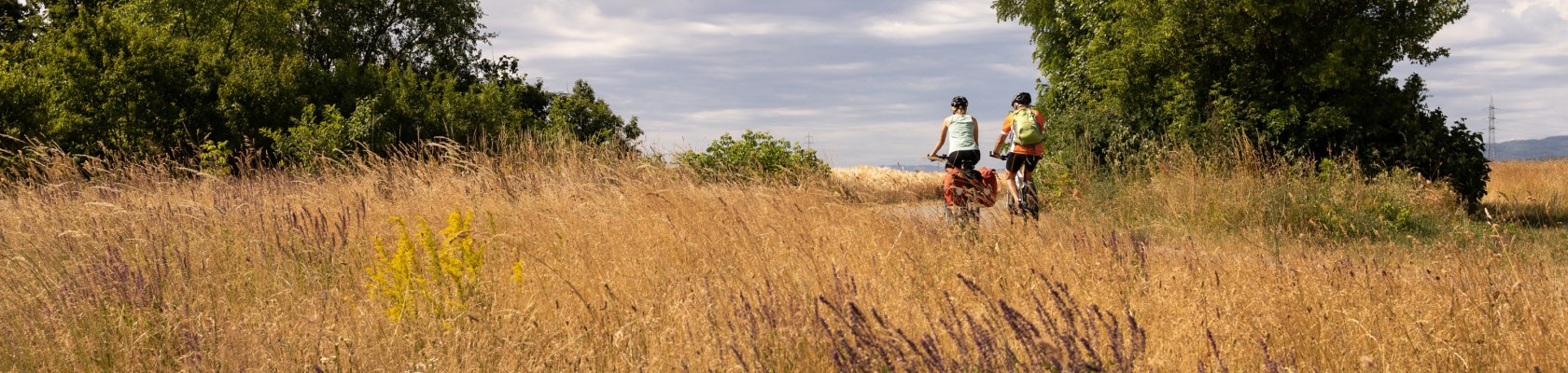 Radfahren entlang der Felder im Wienerwald, © Niederösterreich Werbung/ Franziska Consolati Radfahren entlang der Felder im Wienerwald, © Niederösterreich Werbung/ Franziska Consolati