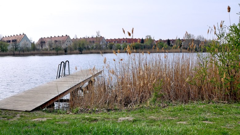 Ozean, © Marktgemeinde Guntramsdorf Ozean, © Marktgemeinde Guntramsdorf