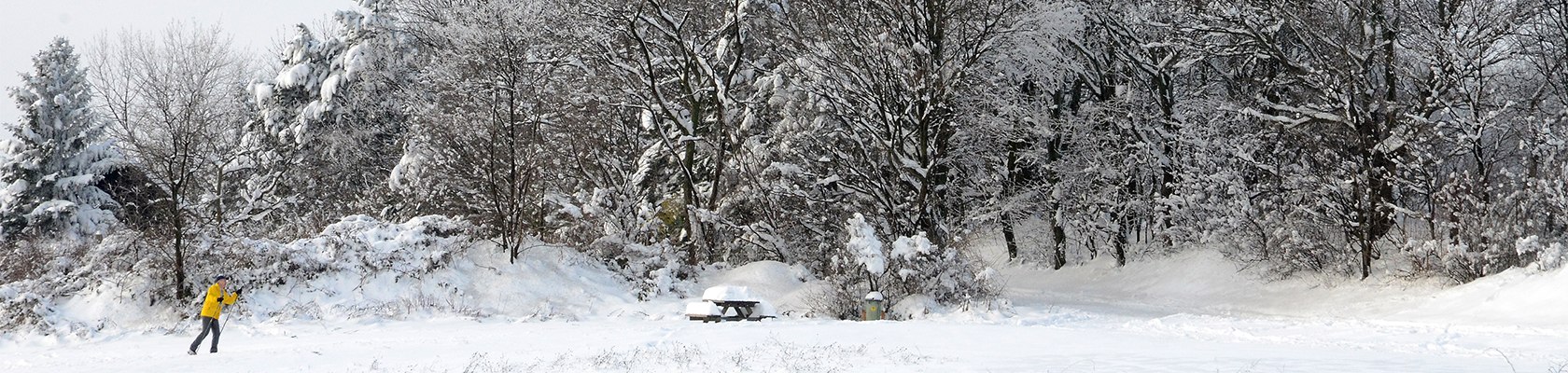 Langlaufen im Wienerwald, © Martina Konrad Murphy Langlaufen im Wienerwald, © Martina Konrad Murphy