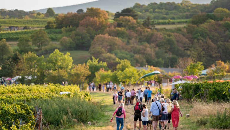 Gemütliches Wandern, verkosten und genießen stand am Programm!, © Christian Dusek Gemütliches Wandern, verkosten und genießen stand am Programm!, © Christian Dusek