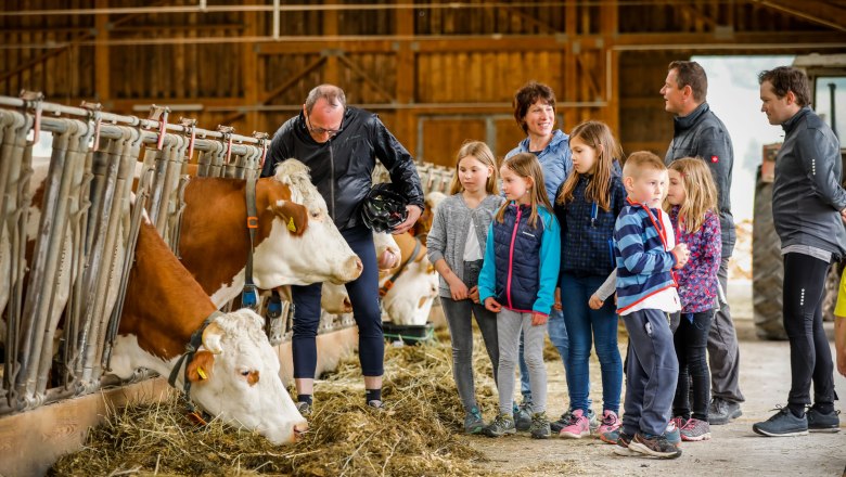 Altenmarkt - Stallführung am Bauernhof Steiner, © Wienerwald Tourismus/Christian Husar Altenmarkt - Stallführung am Bauernhof Steiner, © Wienerwald Tourismus/Christian Husar