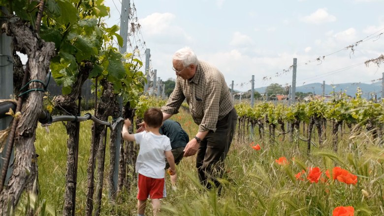 Hartl Winery, © Wienerwald Tourismus/Kerstin Semmelmeyer Hartl Winery, © Wienerwald Tourismus/Kerstin Semmelmeyer