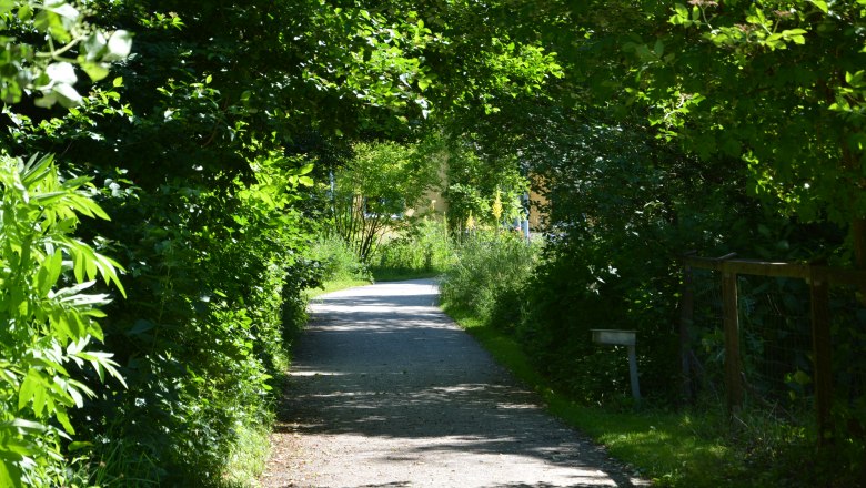 Schattige Umgebung, © Andreas Nagl Ein schattiger Weg durch einen grünen, bewachsenen Tunnel aus Bäumen und Sträuchern.