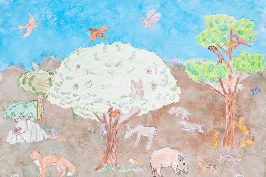 Volksschule Vösendorf 4B, © Volksschule Vösendorf Volksschule Vösendorf 4B, © Volksschule Vösendorf