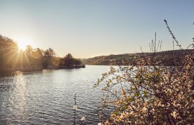 Wienerwaldsee, © Wienerwald Tourismus/Andreas Hofer Wienerwaldsee, © Wienerwald Tourismus/Andreas Hofer