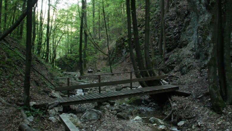 Steinwandklamm, © Steinwandklamm Holzbrücke über einen kleinen Bach in einem bewaldeten Tal.
