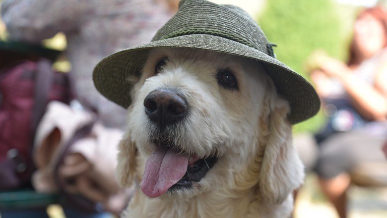 Genussmeile Thermenregion Wienerwald 2022 - it's open, © Wienerwald Tourismus/Sonja Pohl Genussmeile Thermenregion Wienerwald 2022 - it's open, © Wienerwald Tourismus/Sonja Pohl