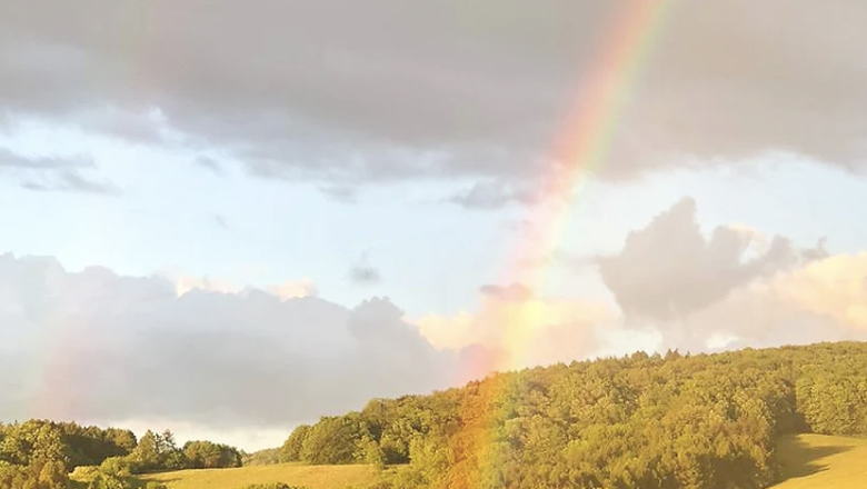TDR-Chalet Wienerwald-Blick in die Umgebung, © Obermeier Vienna Woods landscape with sunlight