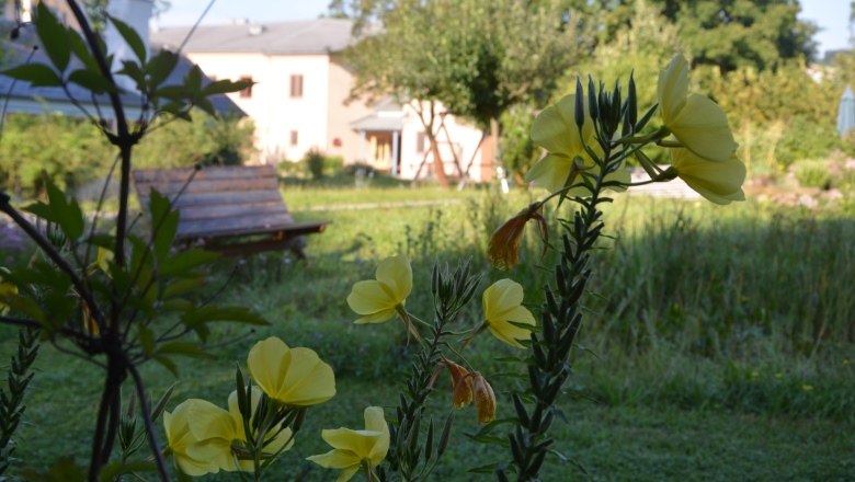 Breitenfurt village community, © Dorfgemeinschaft Breitenfurt Yellow flowers in the foreground, buildings and garden in the background.
