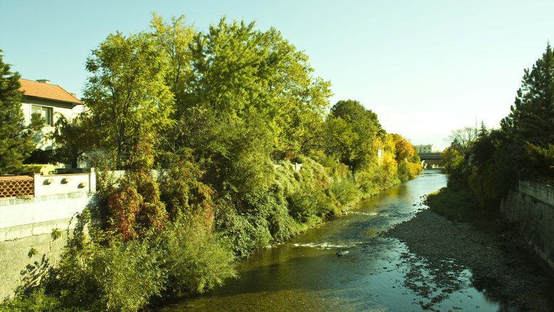 Fluss Schwechat, © Schwertfuehrer Christian Ein Fluss mit klarem Wasser fließt durch eine grüne, bewachsene Landschaft mit Bäumen und einem Haus am Ufer.