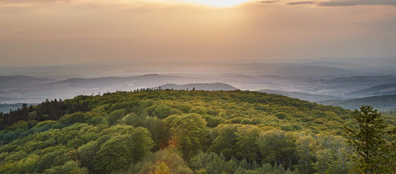 Troppberg, © Andreas Hofer Troppberg, © Andreas Hofer