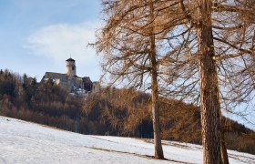 Araburg, © Wienerwald Tourismus GmbH / Andreas Hofer Araburg, © Wienerwald Tourismus GmbH / Andreas Hofer