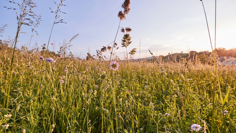 Einsamkeit Pur, © Andreas Hofer Einsamkeit Pur, © Andreas Hofer