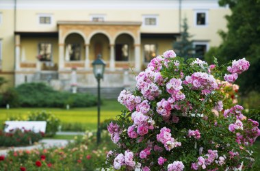 Baden/Geburtsort von Max Reinhardt, © Lammerhuber Baden/Geburtsort von Max Reinhardt, © Lammerhuber