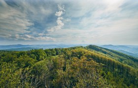 Schöpfl und Gföhlberg, © Wienerwald Schöpfl und Gföhlberg, © Wienerwald