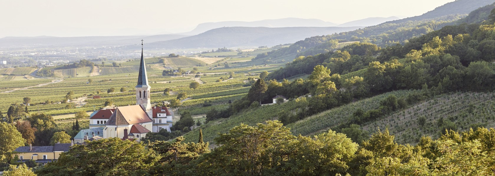 Genuss, Wienerwald, Gumpoldskirchen, Hochkräutl, © Niederösterreich Werbung/ Hauke Dressler Genuss, Wienerwald, Gumpoldskirchen, Hochkräutl, © Niederösterreich Werbung/ Hauke Dressler